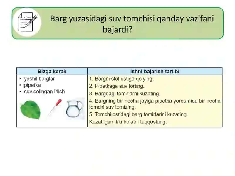 LINZALAR 4