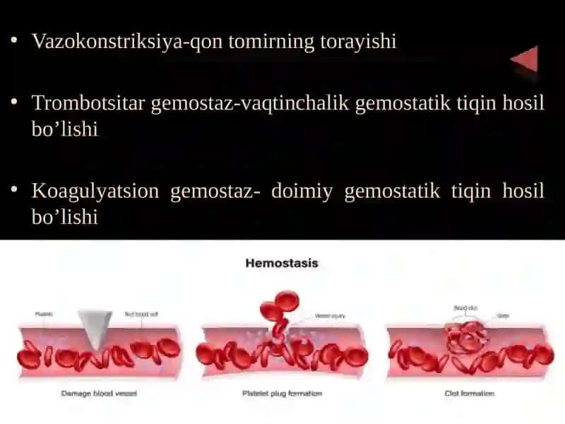 GEMOSTAZ.FIBRINOLIZ 4
