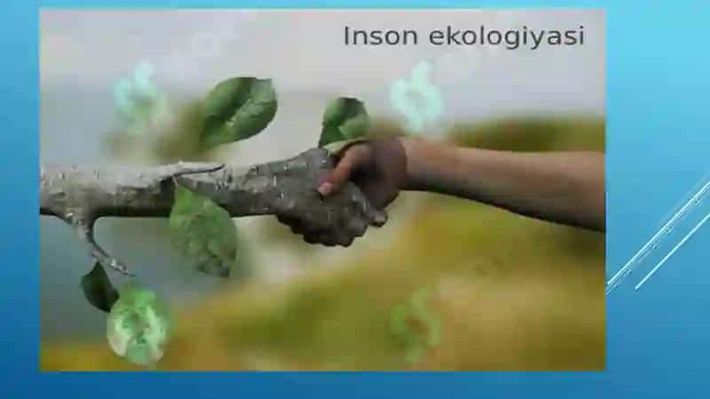 Odam Ekologiyasi 4