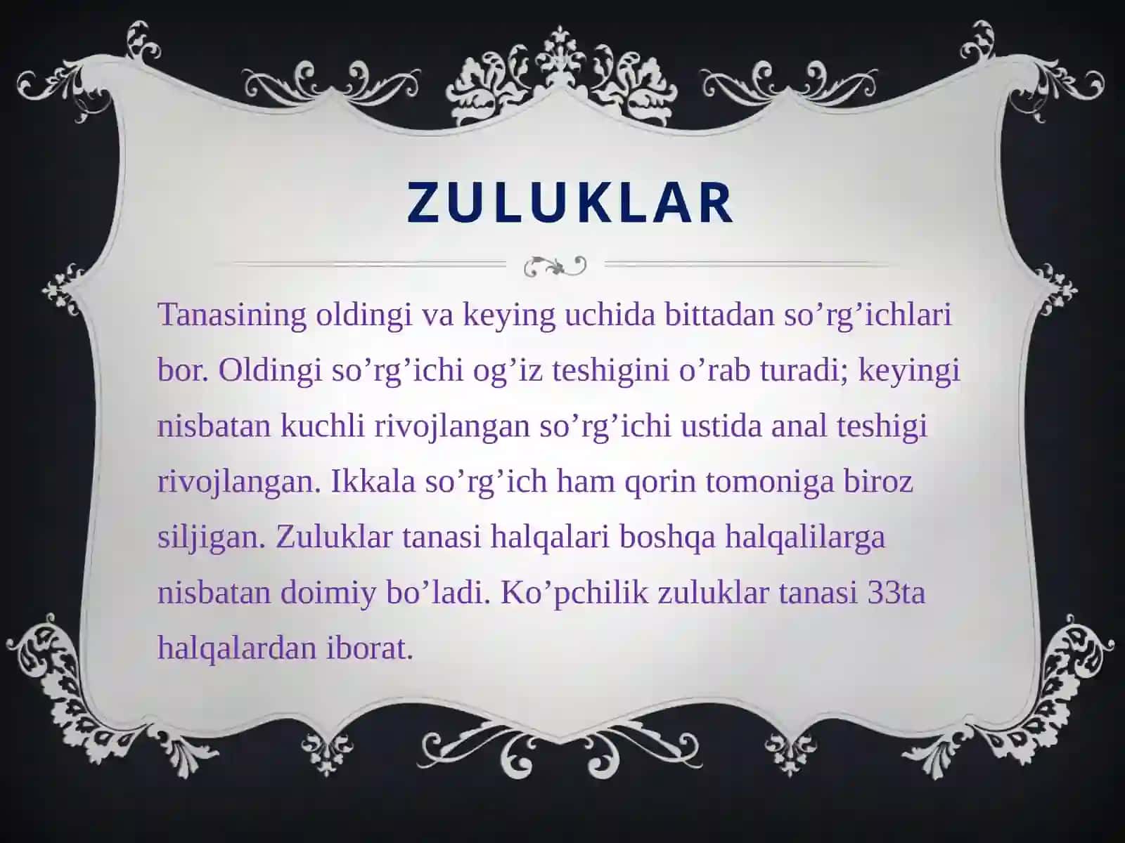 Zuluklar siniri 4
