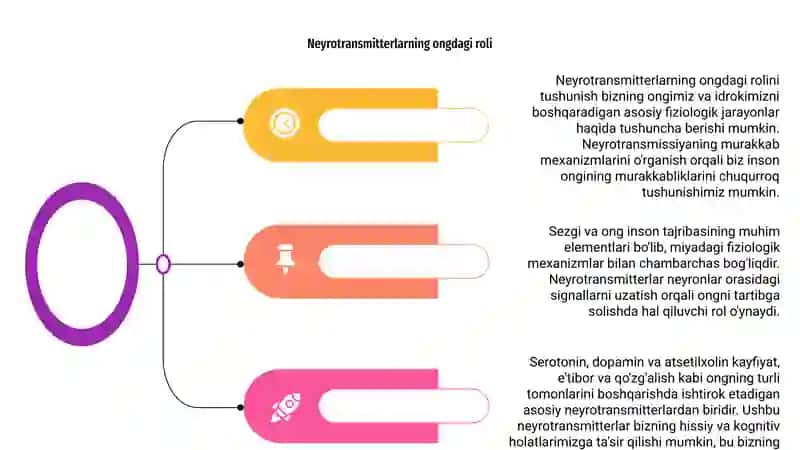 Sezgi, ong va uning fiziologik mexanizmlari 4