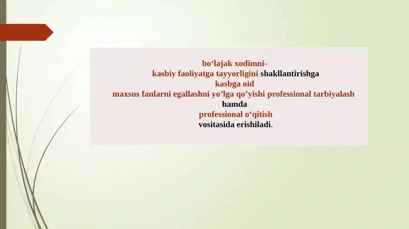 Yoshlar bilan ishlash bo‘yicha kasbiy-pedagogik faoliyat va uning o‘ziga xosliklari 4