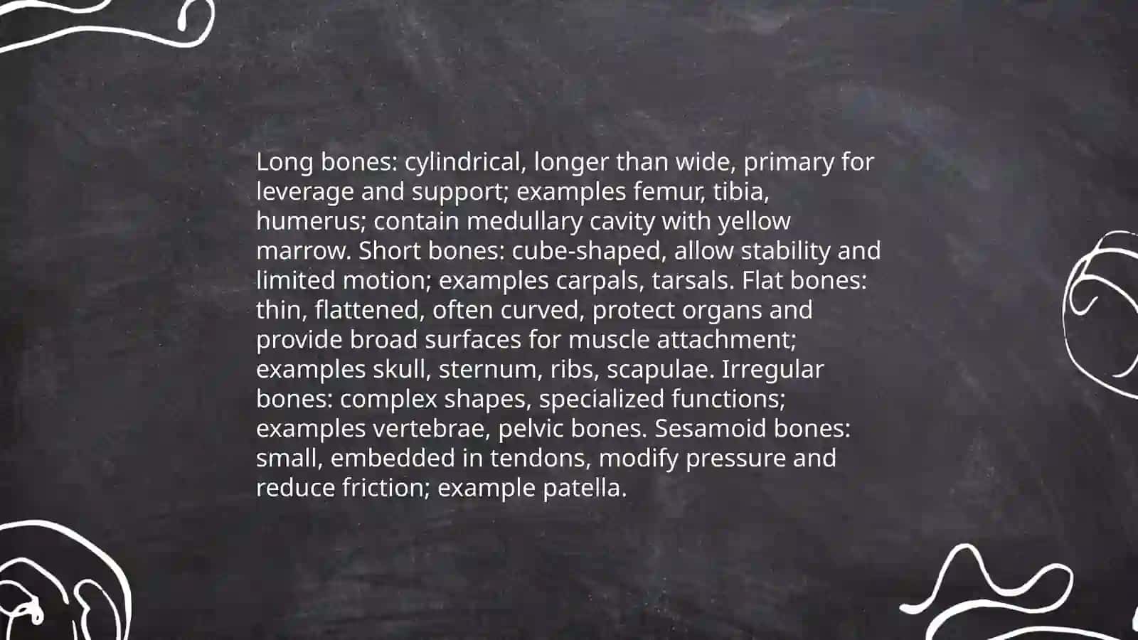 The skeletal system of a human being 4