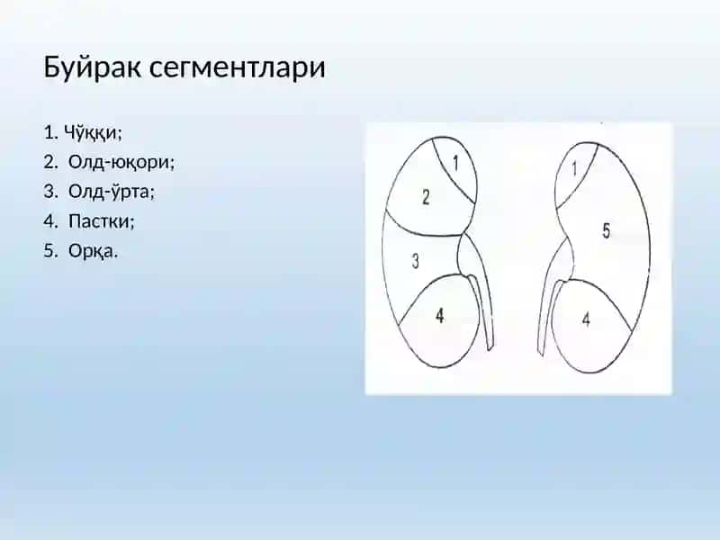 Сийдик айирув тизими касалликларининг комплекс нур диагностикаси 4