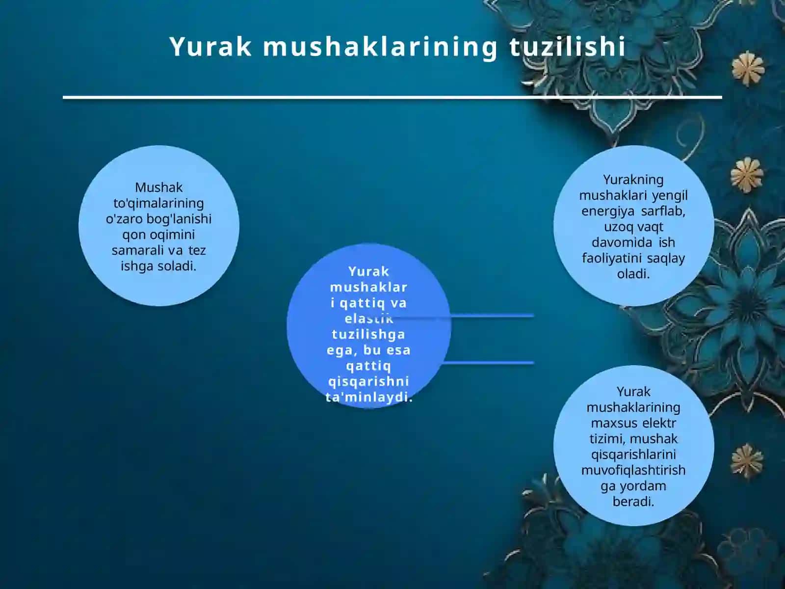Gemodinamika yurak faoliyatining fizikaviy asoslari 4