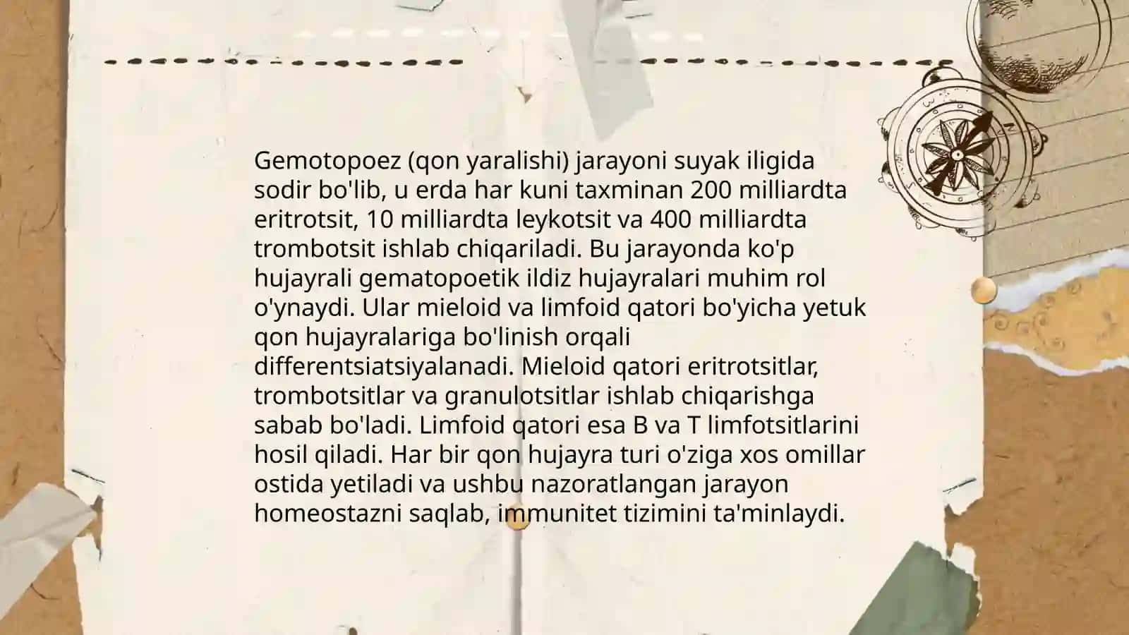 Qon yaratuvchi va immun a'zolari 4