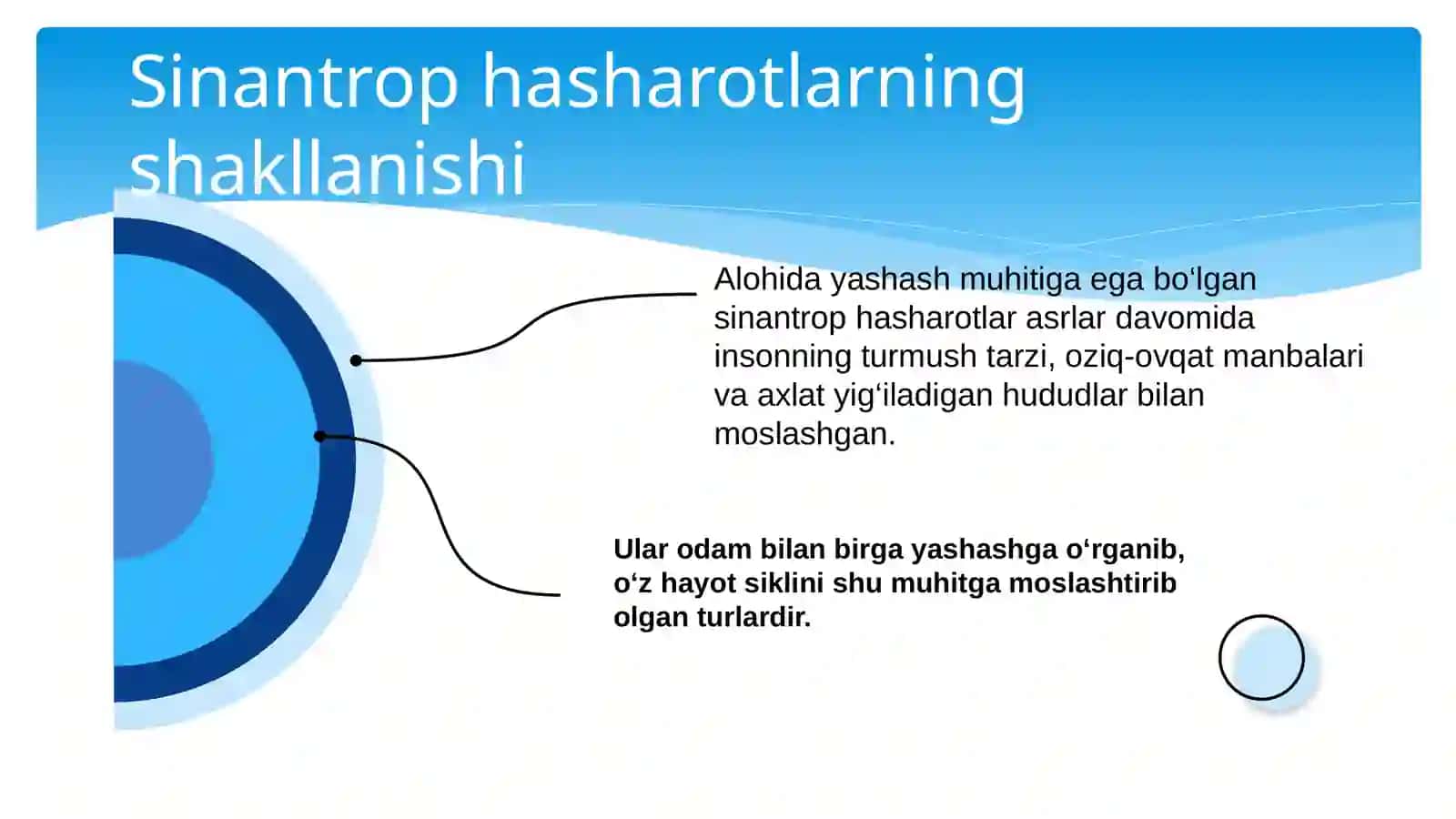 Sinantrop ko‘rinishidag hasharotlar va ularning epidemiologik ahamiyati 4