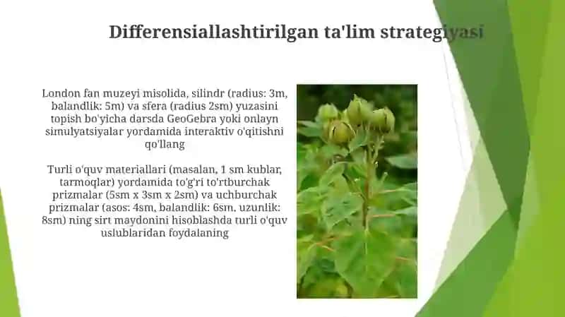 Geometriya kursi darslari yuzani o'qitish metodikasi 4
