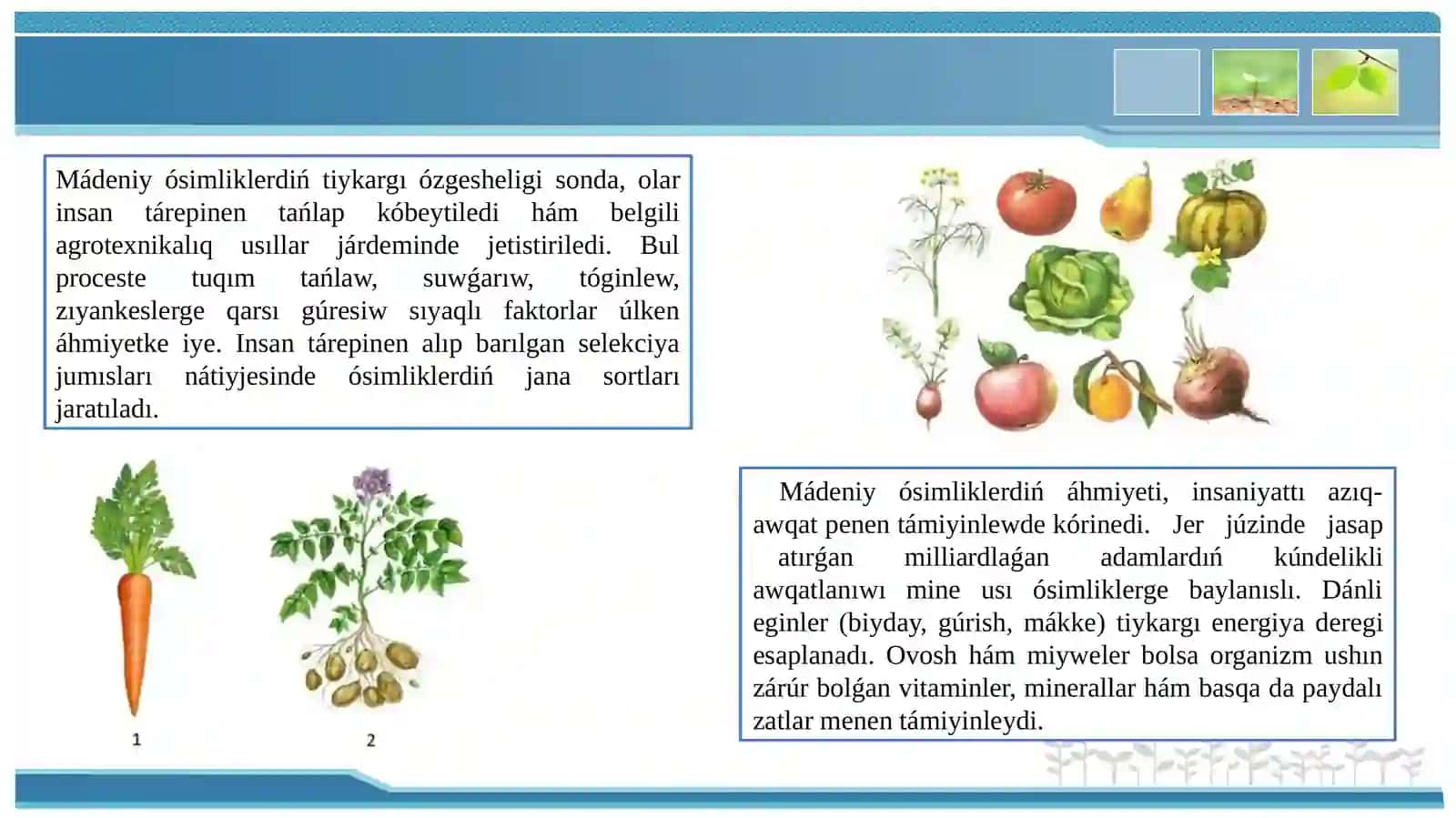Mádeniy ósimliklerdiń kelip shigiw orayları geografiyası 4