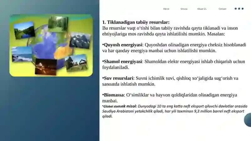 Mintaqalar Tabiiy-Resurs Salohiyati va Ularning Hududiy Taraqqiyotda Tutgan Oʻrni 4