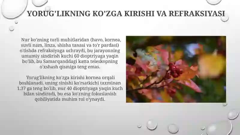 Koʻzning optik sistemasi va uning fizik xususiyatlari 4