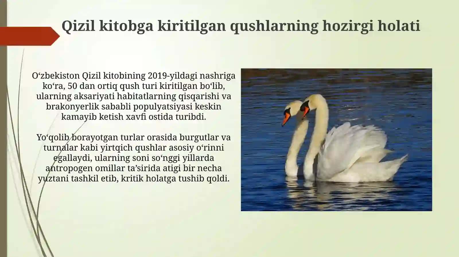 O‘zbekiston Qizil kitobi: umumiy tushuncha va ahamiyati 4