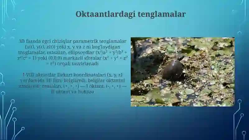 Oktantlar haqqında umumiy ma'lumot 4