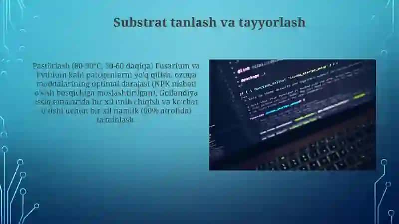 Tuproqli issiqxonalarda bodringni yetishtirish texnologiyasi 4