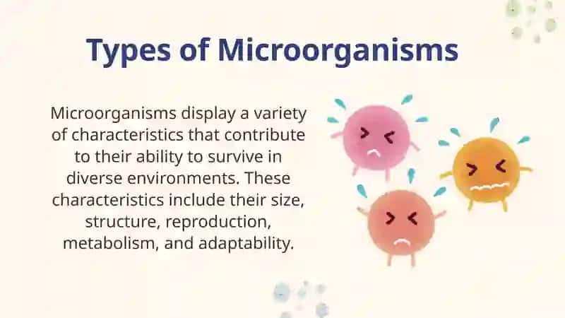 Microorganismis and Microbiologiy 4