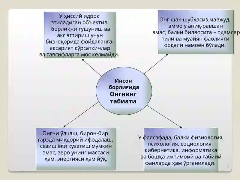 Инсон борлиғи 4