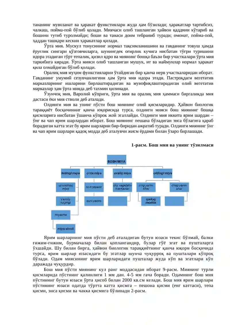 Хулқ-атворнинг психофизиологик асоси 4