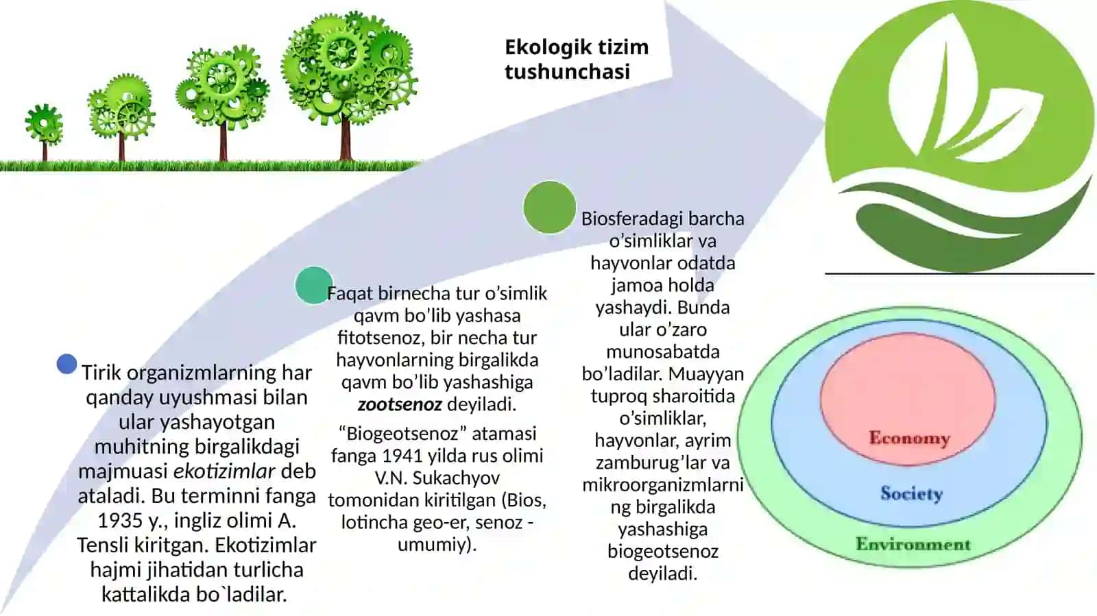 Iqtisodiy tizim va muhit: o'zaro bog'liqlik va qarama -qarshiliklar 4