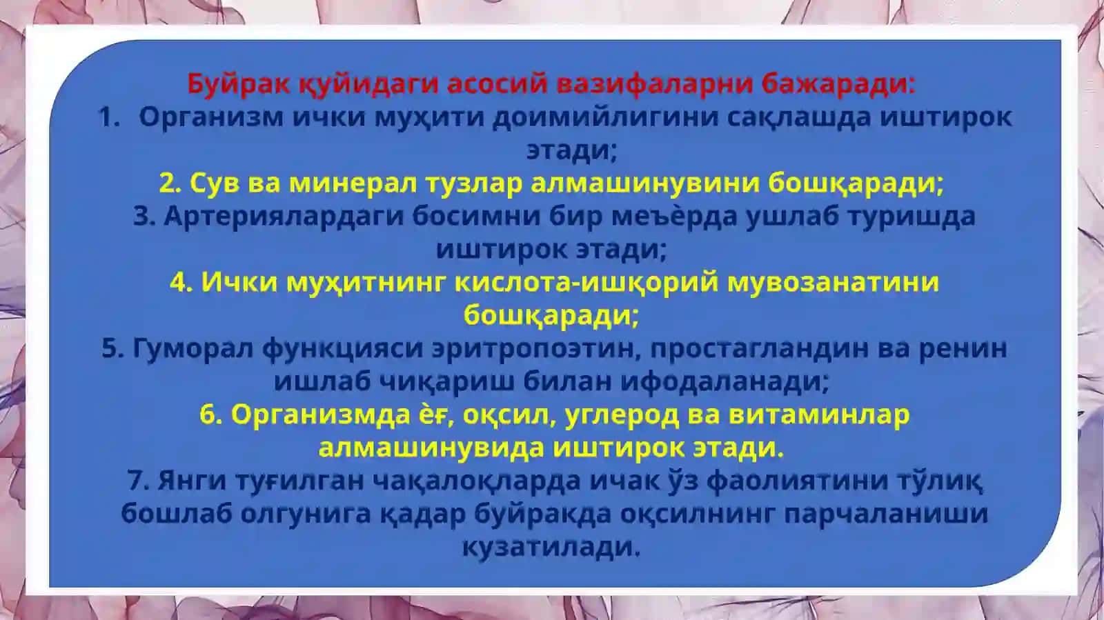 БУЙРАК ВА СИЙДИК АЖРАТИШ ТИЗИМИ АЪЗОЛАРИНИ ГИСТОЛОГИК ТУЗИЛИШИ 4