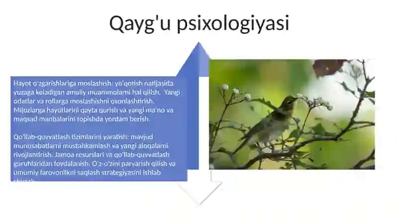 Konsultatsiya amaliyotidagi ayrim yo'nalishlar 4