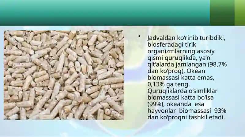 Biosfera biomassasi 4