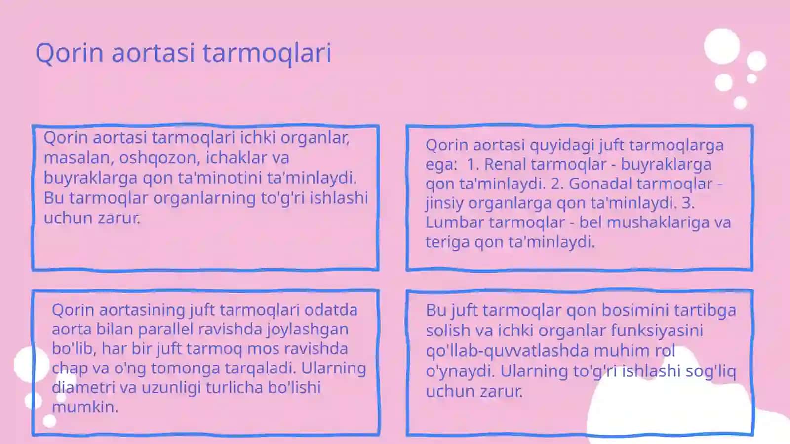 Koʻkrak aortasi qorin aortasining juft tarmoqlari haqida 4