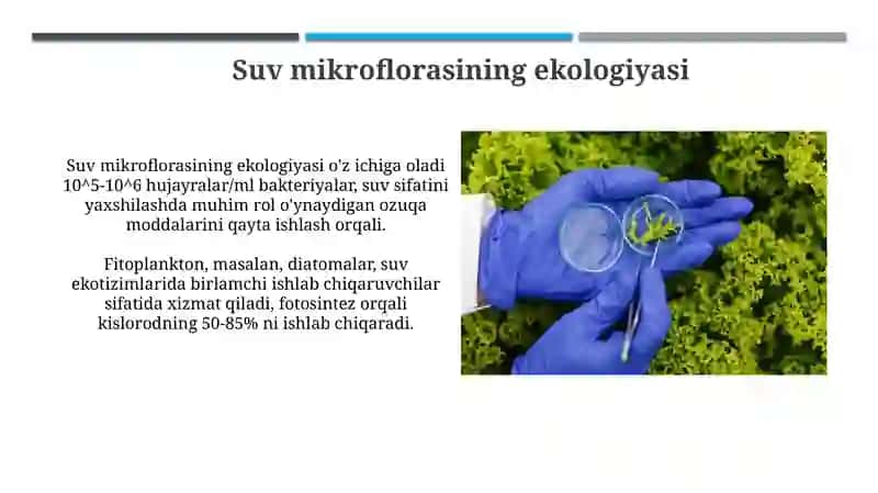 Pediatriya 4
