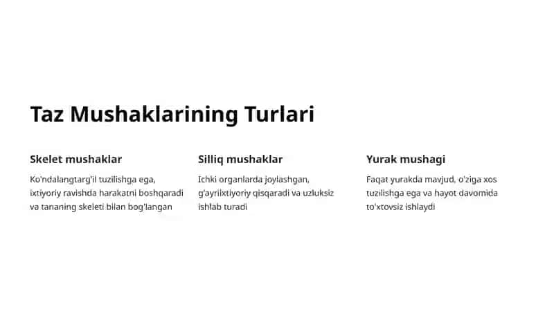 Taz Mushaklari: Tuzilishi, Vazifalari va Ahamiyati 4