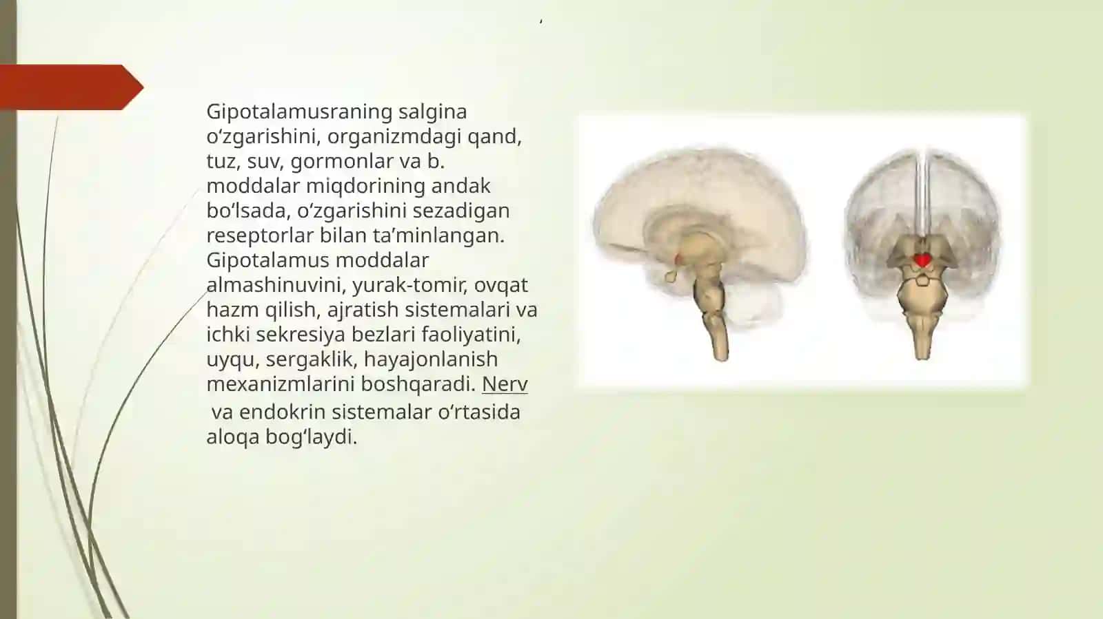 Giptalama muso’zaklari va ularning klinik axyamati 4