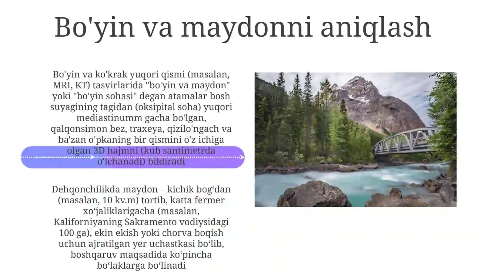 Bo'yin va Maydon Fizikasi 4