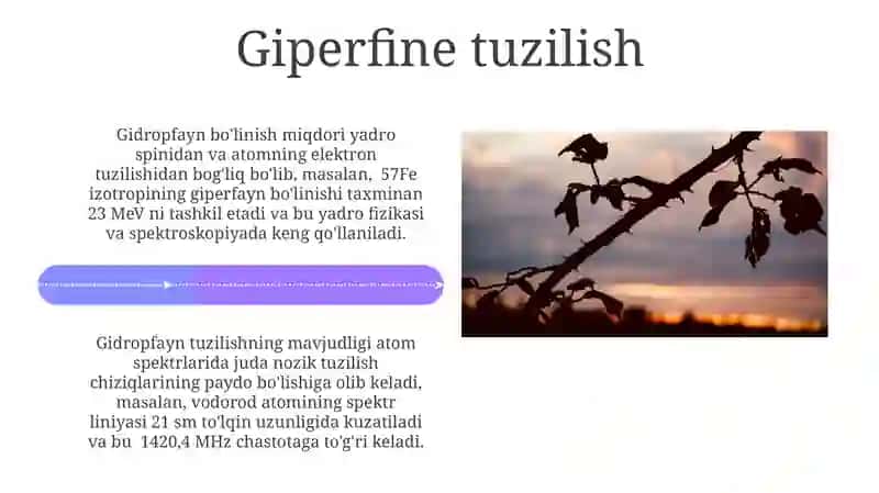 Atom tashqi kuchlar maydonida 4
