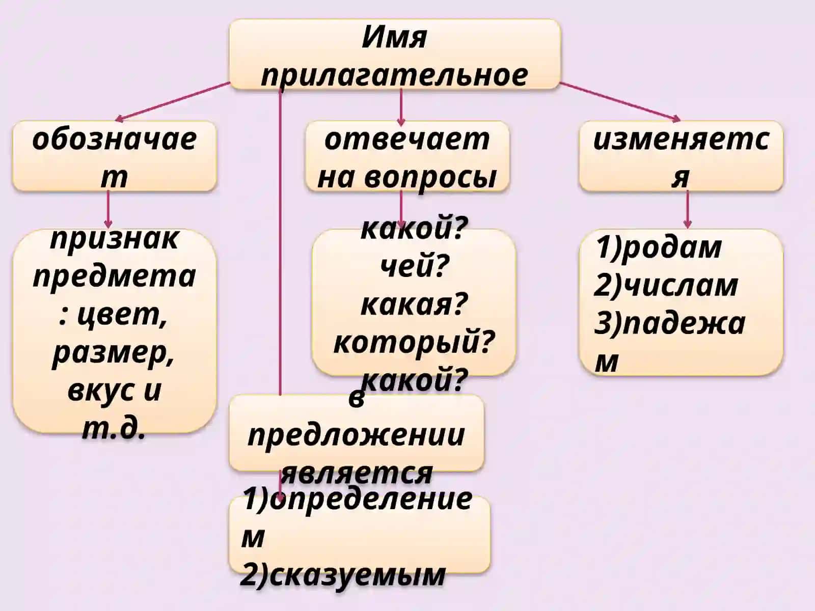 Имя прилагательное 4
