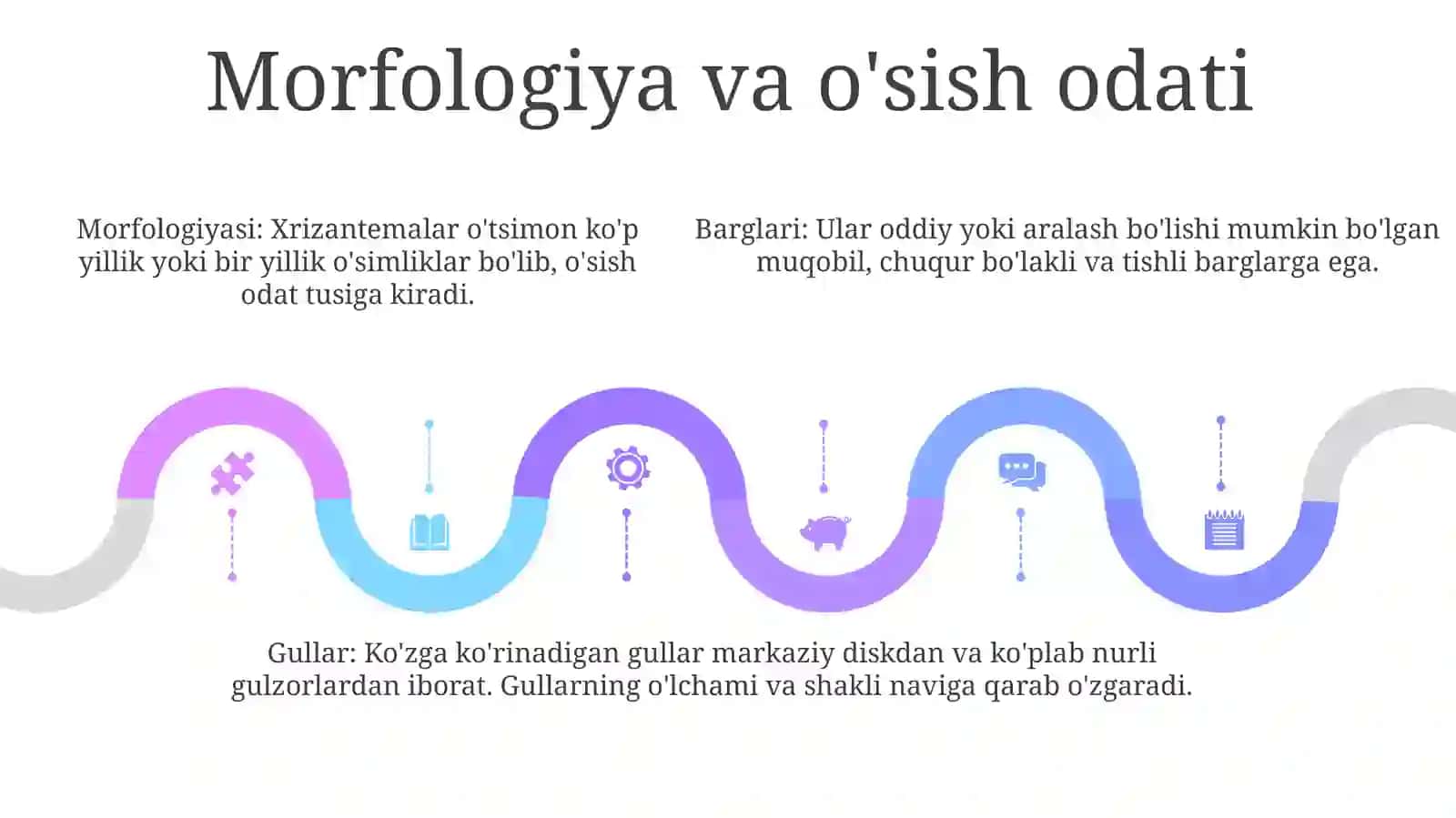 Xrizantema 4