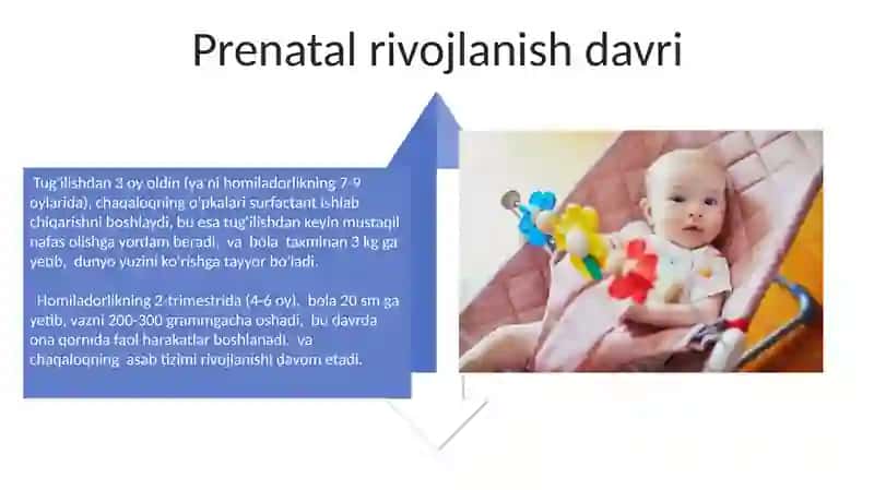 Rivojlanish davrlarining morfologik xususiyatlari 4