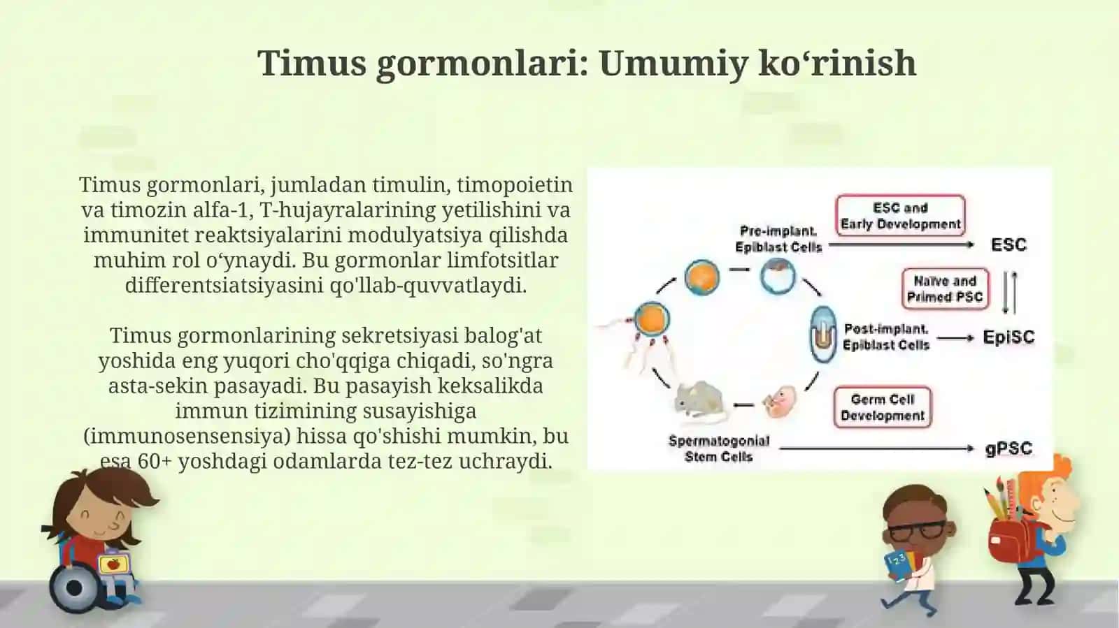 Timus va yoʻldosh garmonlari 4
