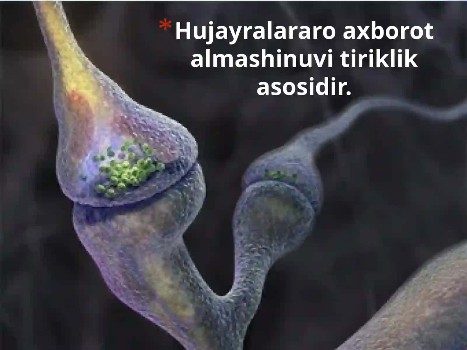 Neyrobiologiya 4