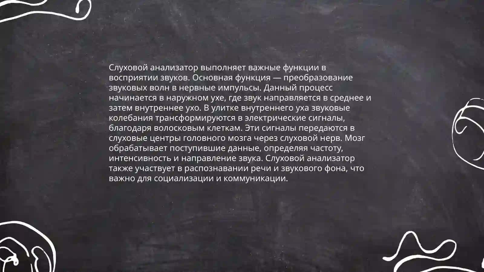 Взрослое особенности и гигиена слухового анализатор 4