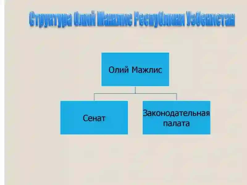 ОЛИЙ МАЖЛИС РЕСПУБЛИКИ УЗБЕКИСТАН 4