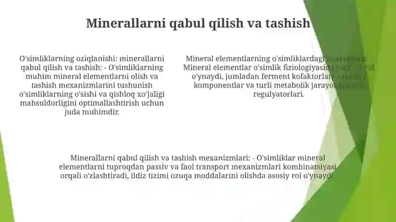 O'Simliklarni Mineral Elementlar Orqali Oziqlantirishni O'Rganish 4