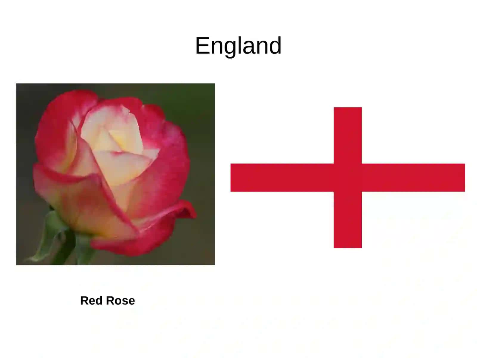 The United Kingdom. 4