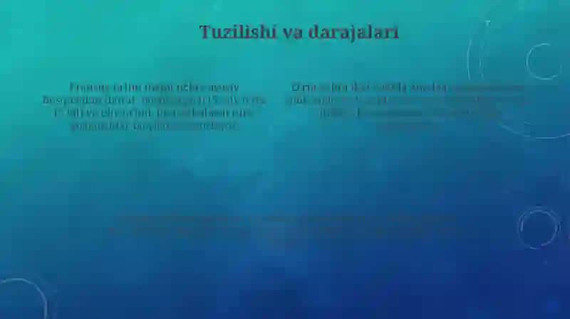 Fransiya ta'lim tizimi 4