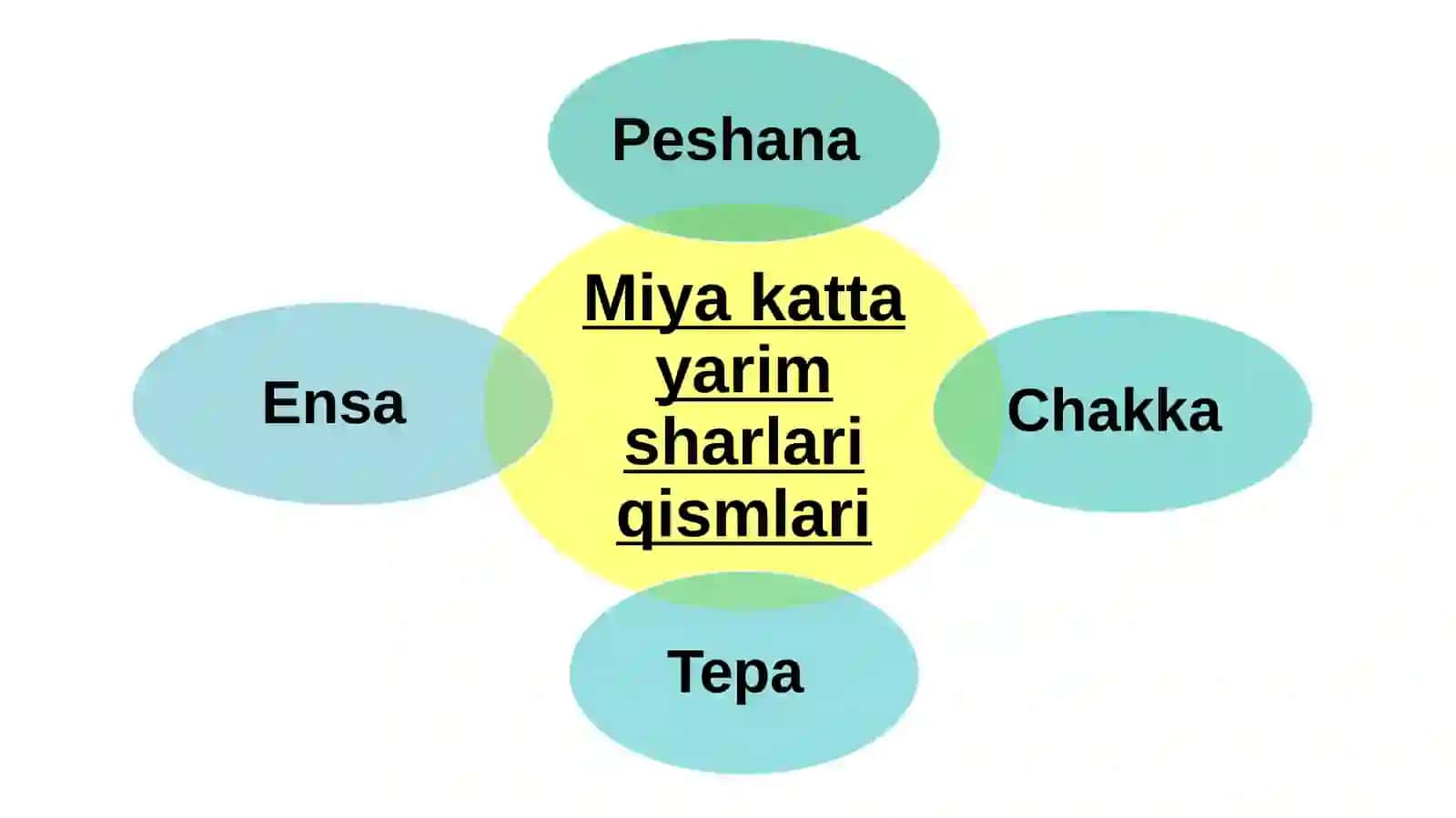 Boshmiya kattayarimsharlarining tuzilishi 4