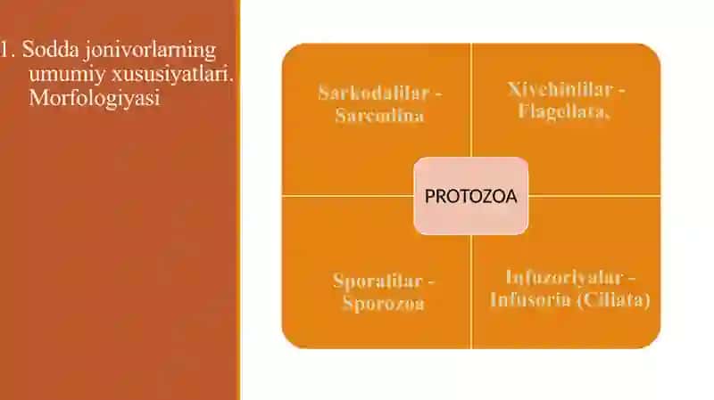 Soddajonivorlar 4