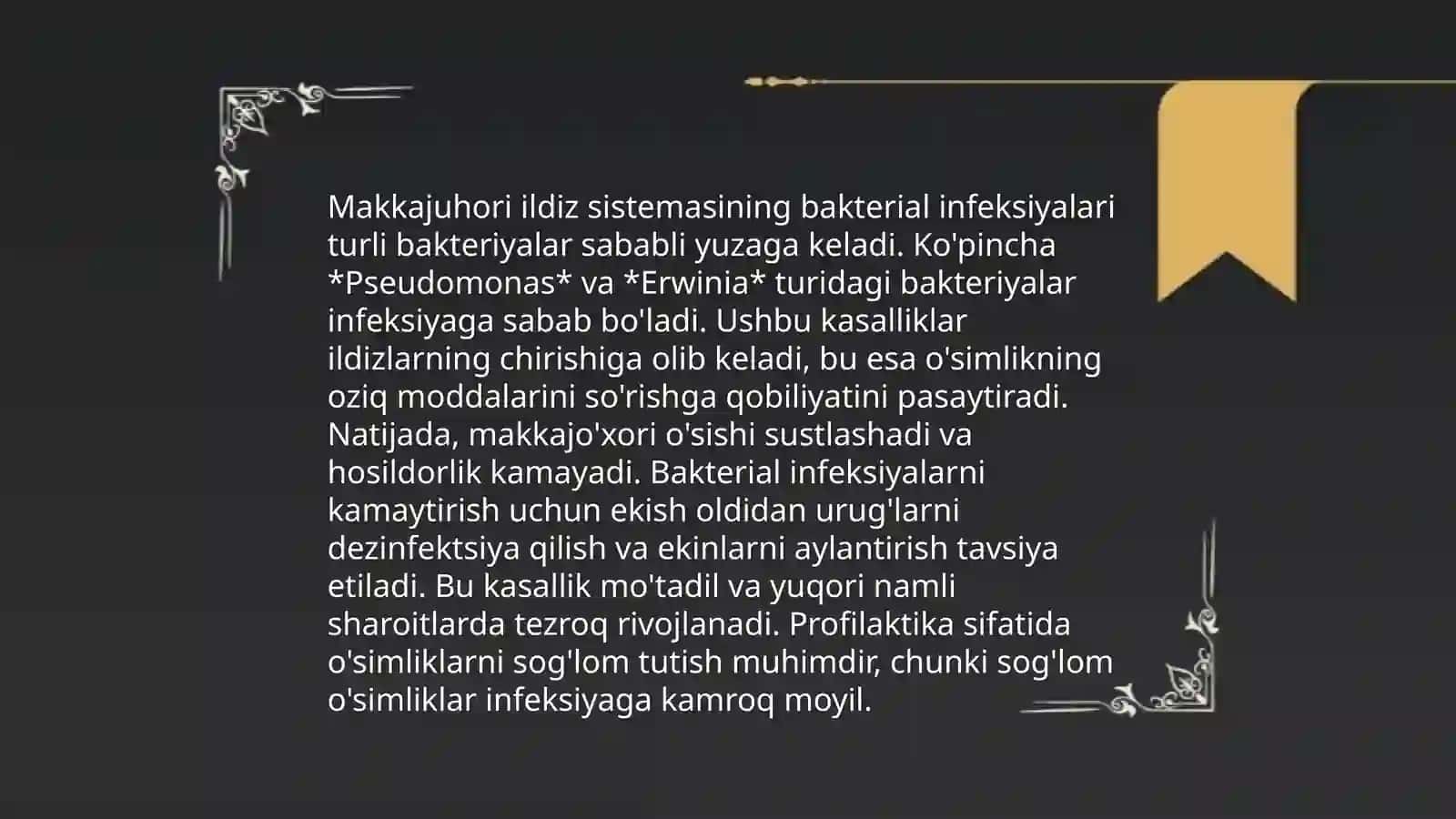 Makkajuhorining bakterial kasalliklari va ularga qarshi kurashi kurash choralari 4