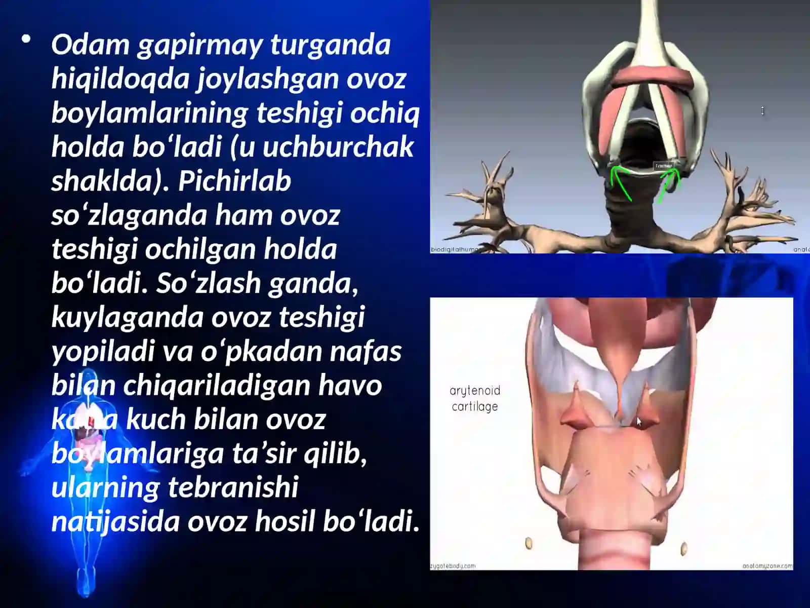 Ovoz apparati 4