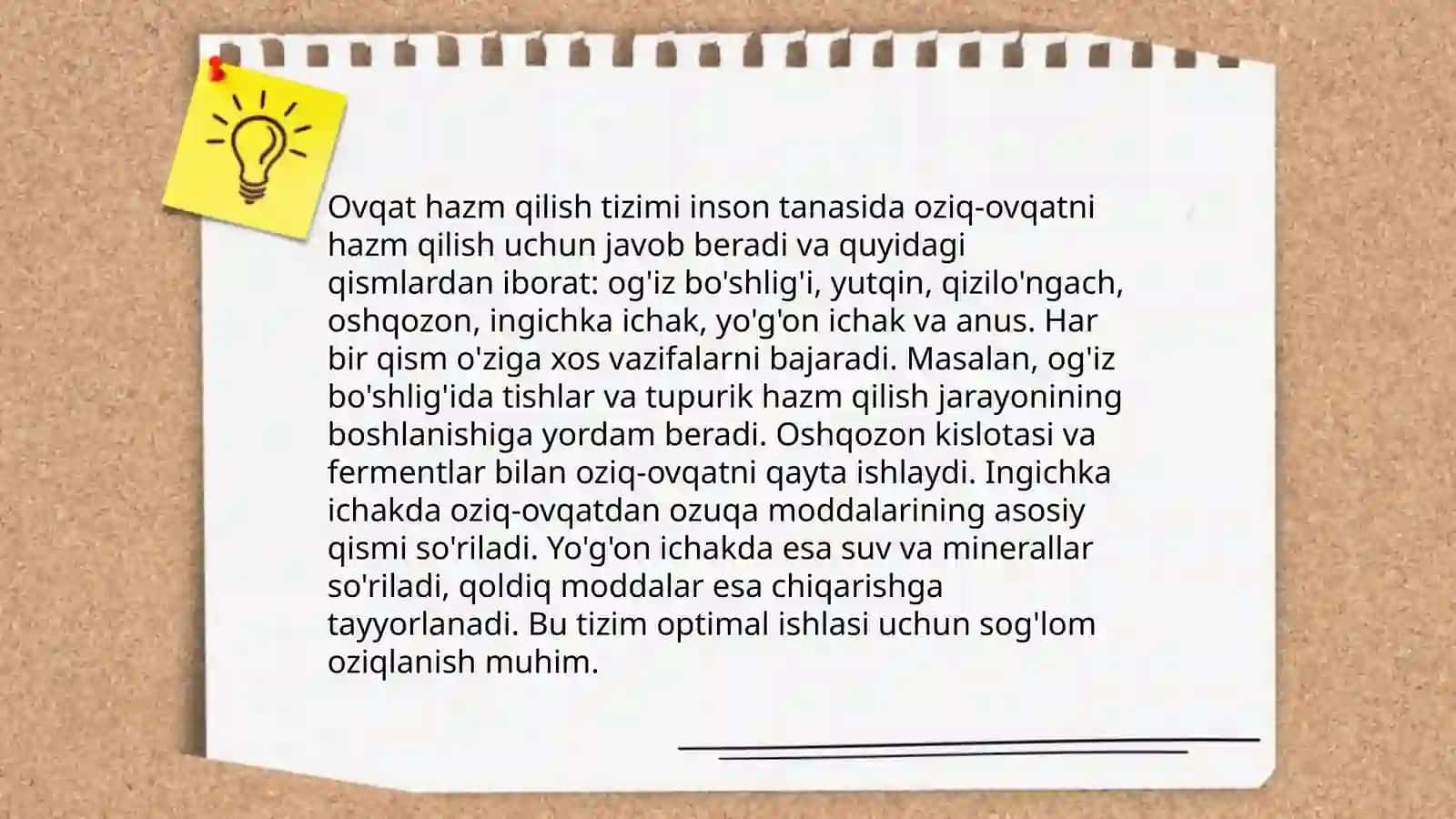 Hazmlanish jarayonining anatomik asoslari 4