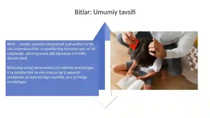 Biologiya sirtqi talim 4