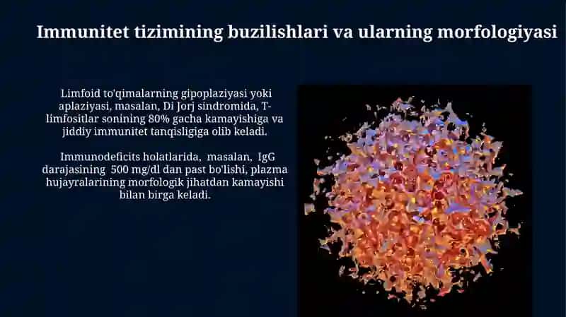 Immunologik reaksiyalarning morfologik asoslari 4
