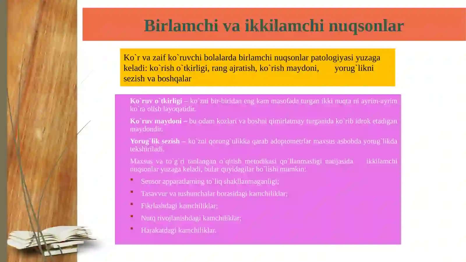 Ko‘rishda nuqsoni bo‘lgan bolalar logopedik ishlari 4