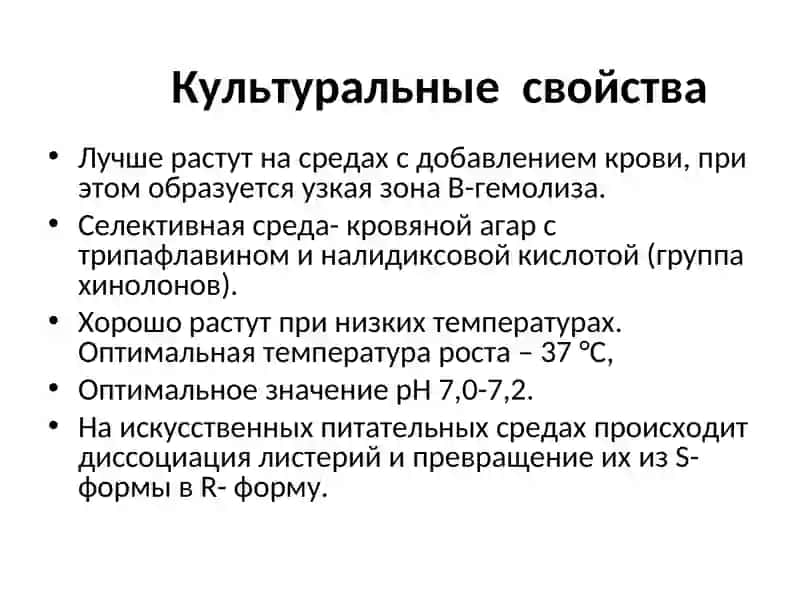 Listeria 4